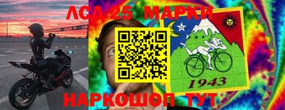 амф Сланцы