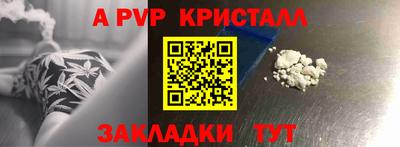 дмт Ставрополь