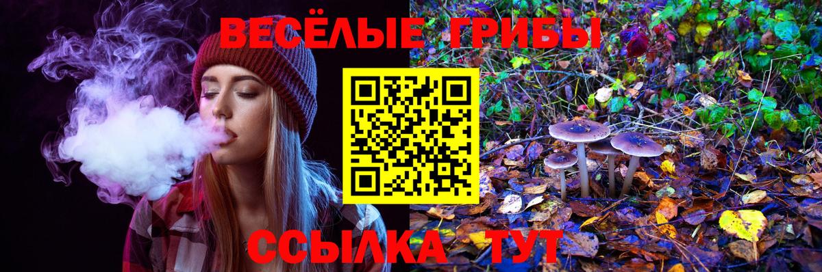 Отрадное  Псилоцибиновые грибы мицелий  Вход с VPN 