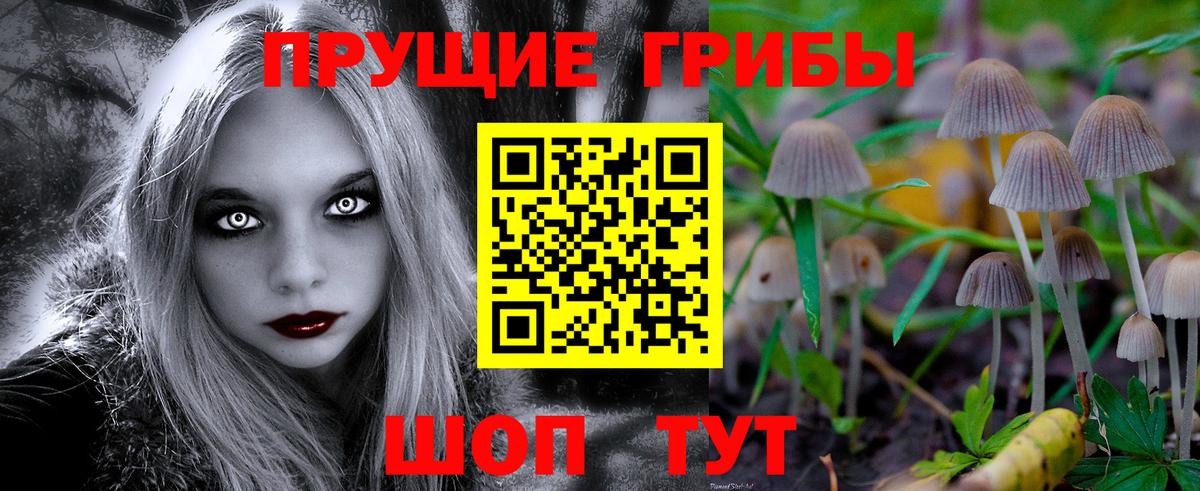 Псилоцибиновые грибы ЛСД Отрадное